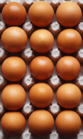 Krupni plan školjke sviježih kokošijih jaja.