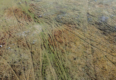 Planinski teren uništen terenskim vozilima i kvadovima. Uništavanje prirode.