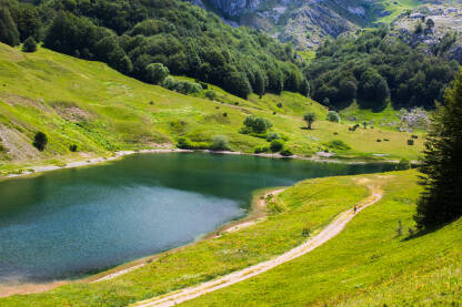 Nacionalni park Sutjeska nalazi se na teritoriji općina Foča, Gacko i Kalinovik i najstariji je nacionalni park u Bosni i Hercegovini.