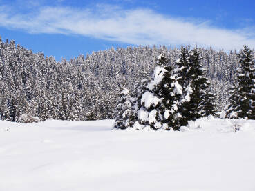Snijeg, zimska sezona na planini Igman