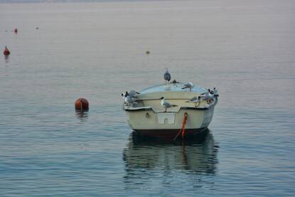 Čamac sa galebovima na površini mora.