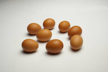 Kokošija jaja na bijeloj podlozi