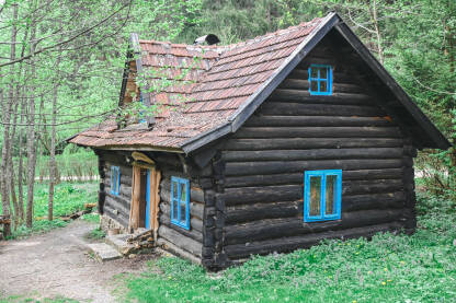 Brvnara sa plavim prozorima u šumi na Zelenkovcu kod Mrkonjić Grada.
