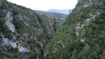 Panorama predjela prekrivenih šumom