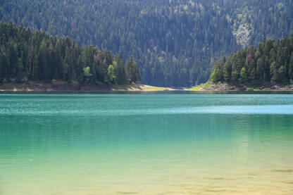 Prelijepo prirodno jezero okruženo šumom. Crno jezero na planini Durmitor, Crna Gora.