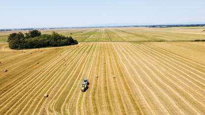 Traktor skuplja slamu u polju, snimak dronom. Traktor pravi bale sijena. Poljoprivreda.