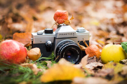 Analogni fotoaparat Praktica L. Stari analogni fotoaparat u jesen na opalom lišću uz voće oko njega.