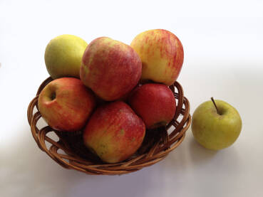 Korpa jabuka, zrele u jesen