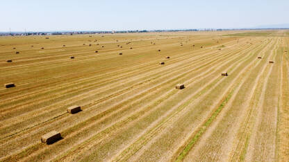 Bale sijena u polju, snimak dronom. Bale sa slamom na poljoprivrednom polju nakon žetve.