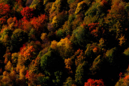 Jesenje boje  i priroda
