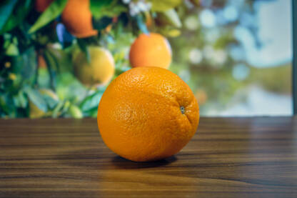 Narandža na stolu u pozadini voća na drvetu