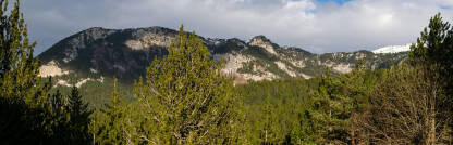 Panorama pogled na goru iz Masne Luke
