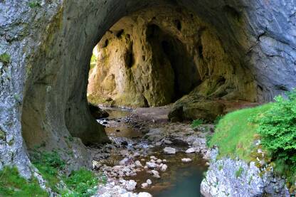 Samar na Bistrici je specifičan geomorfološki fenomen. Predstavlja riječnu, tunelsku pećinu dužine oko stotinu metara i visine oko 30 metara