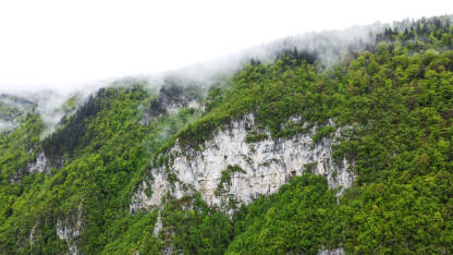 Stijene na planini, snimak dronom. Zeleno drveće raste na planini u proljeće.