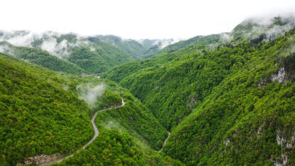 Šuma na planini. Kanjon rijeke Ugar na Vlašiću, snimak dronom.