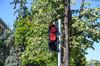 Crveno svjetlo za pješake na semaforu sa odbrojavanjem vremena.