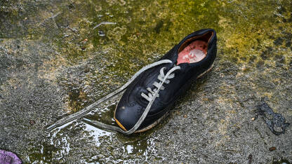 Odbačena muška cipela. Stara cipela bačena na mokru ulicu.