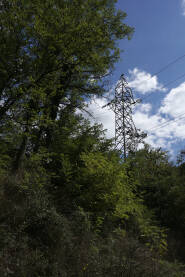Dalekovodni stub u šumskom zelenilu
