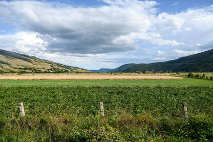 Glamočko polje, BiH. Usjevi krompira i žitarica u polju ljeti.