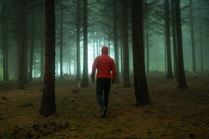Čovjek u crvenoj jakni ulazi u šumu u magli.