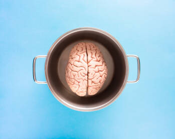 Ljudski mozak, anatomski školski model, u metalnom loncu na svijetloplavoj podlozi.