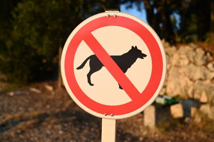 Znak zabranjen pristup sa psima. Znak zabrane u parku. Životinje.  Simbol zabrane za kućne ljubimce na plaži.