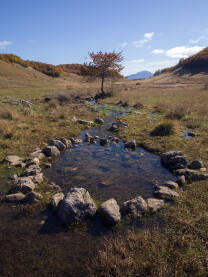jedan od izvora Studenog potoka koji vijugavim koritom odlazi u rijeku Rakitnicu, planinski pejsaž