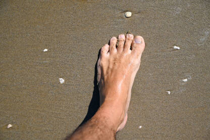 Noga na pijesku na plaži.