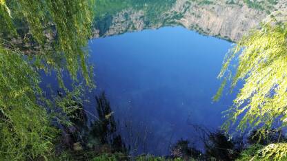 Bunica je rijeka u južnom dijelu Bosne i Hercegovine. Duga je svega 6 km i ulijeva se u Bunu.