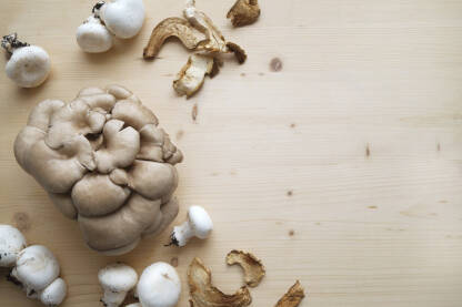 Razne sorte gljiva na stolu.