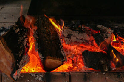 Vatra, užarena drva, gori vatra, žar