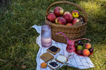 Piknik u prirodi, voće i sokovi