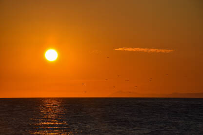 Zalazak sunca na moru sa jatom ptica