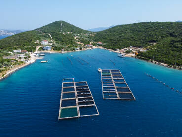 Uzgajalište riba i školjki na moru, Neum Uzgajalište riba i školjki na moru, snimak dronom. Poluotok Klek, Neum, BiH.