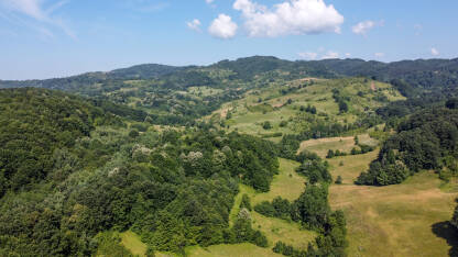 Zelena šuma i brda Zelena šuma i brda u prirodi tokom ljeta, snimak dronom. Priroda u Bosni i Hercegovini.