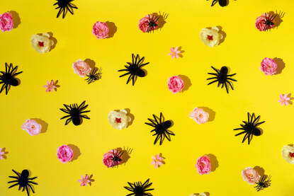 Cvijeće i crni pauci na žutoj pozadini. Horor.