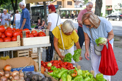 Žene kupuju povrće i voće na lokalnoj pijaci. Svježe povrće na prodaju.