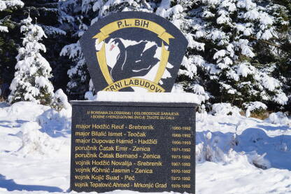 Spomenik jedinici Crni Labudovi na Igmanu.
