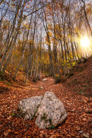 Planina Plješevica kod Bihaća u jesenjem izdanju.