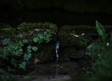 Stene sa mahovinom izmedju kojih tece cista pijaca voda, izvor vode, zelenilo