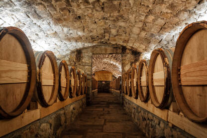 Kameni vinski podrum sa redovima hrastove buradi.