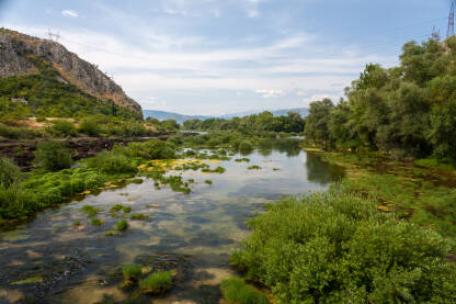 Bunski kanali su prirodni fenomen na rijeci Neretvi. To je uski kanal kojim protječe Neretva, a preko sedrene barijere se u nju, na tom mjestu, ulijeva njena lijeva pritoka Buna.