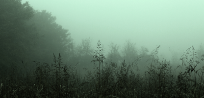 Slike prirode obavijene maglom koja izražava opustošenost i melanholiju.