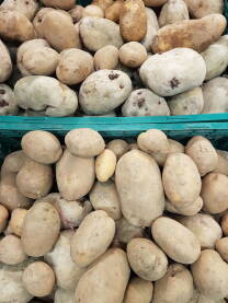 Mješavina više vrsta krompira u gajbama na polici u prodavnici - odjel povrća