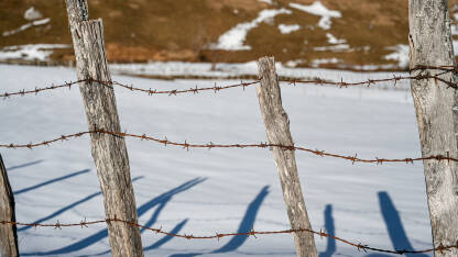 Bodljikava žica sa snijegom u pozadini. Zahrđala metalna žičana ograda.