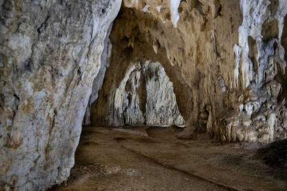 Pećina Rastuša se nalazi u selu Rastuša na istočnoj strani Hrnjinog brda, udaljena je 17 km od Teslića, 24 km od Prnjavora te 25 km od Doboja. Dužina istraženih kanala je 570 m