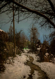 Horor staza kroz mrak i snijeg