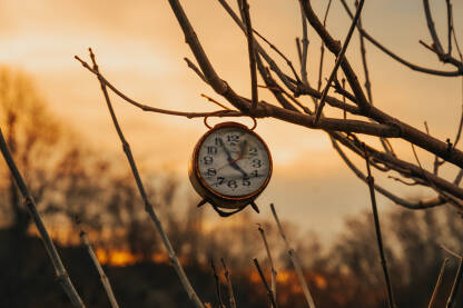 Stari sat na drvetu sa zalaskom sunca.