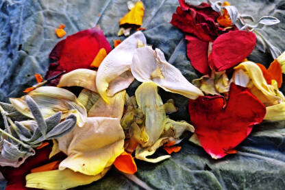 Latice cvijeća na rebrastoj pozadini lista raštike.