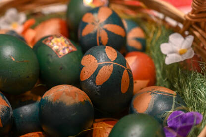 Korpa puna jaja, ofarbanih u plavo. Šaranje jaja za pravoslavni praznik Vaskrs. Ukrašavanje jaja pomoću biljaka.